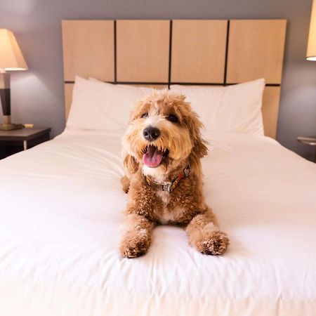 Sonesta Simply Suites Minneapolis Richfield Extérieur photo