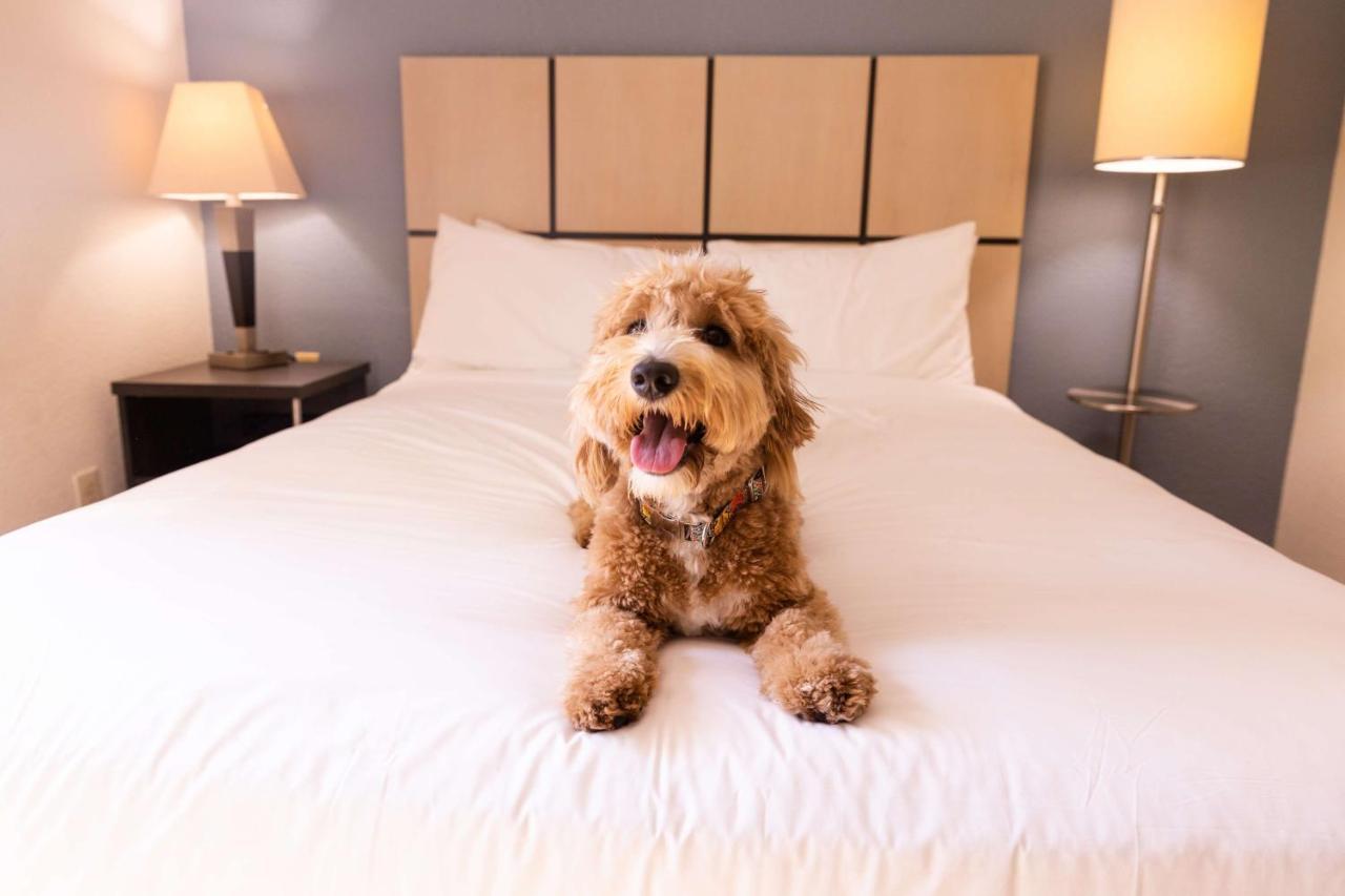 Sonesta Simply Suites Minneapolis Richfield Extérieur photo